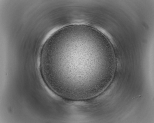 X0000114161383200910151557