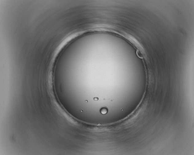 X0000114161384200910151557