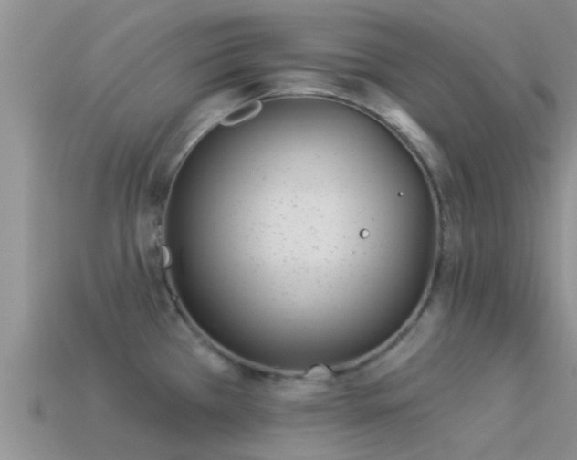 X0000114161385200910151557