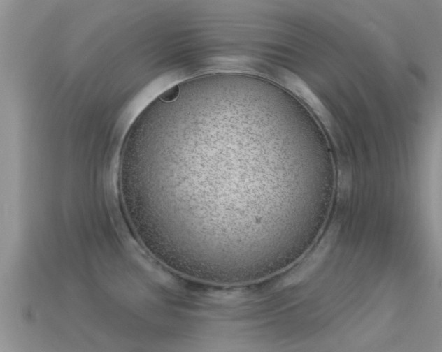 X0000114161386200910151557