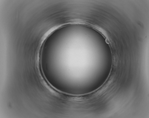 X0000114161387200910151557