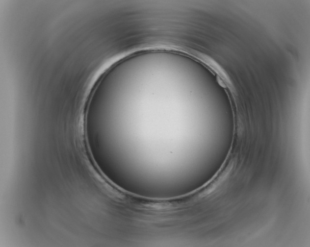 X0000114161388200910151557