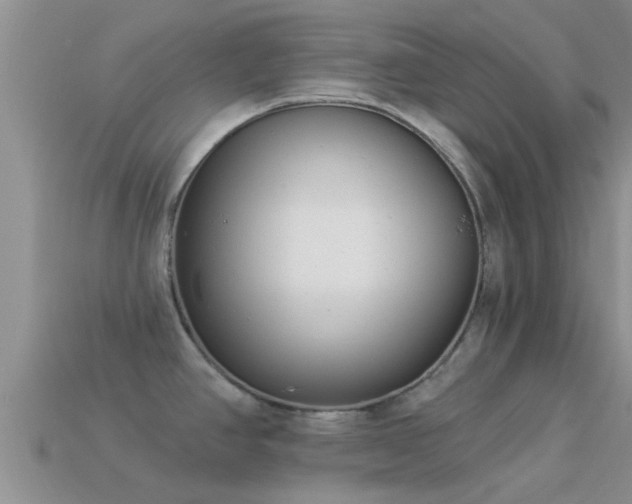 X0000114161390200910151556