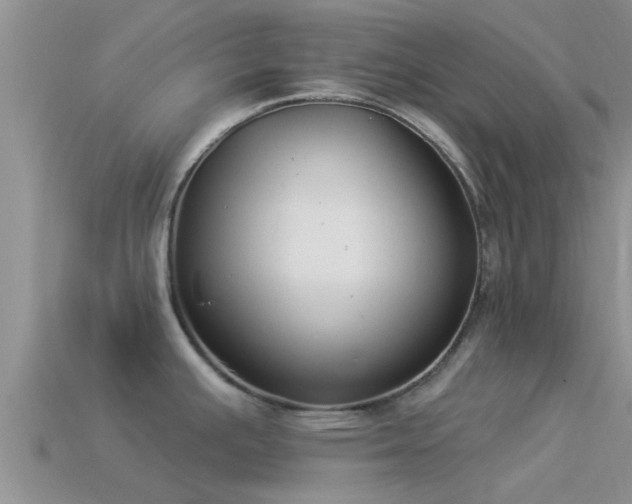 X0000114161391200910151556