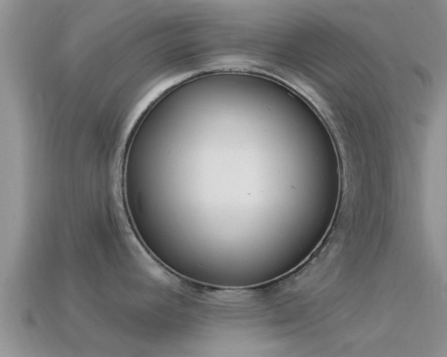 X0000114161392200910151556