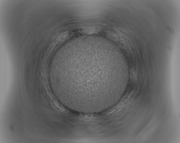 X0000114161393200910151556