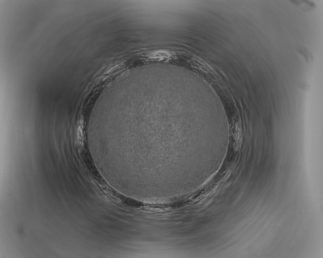 X0000114161394200910151556