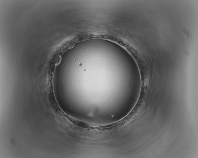 X0000114161398200910151556