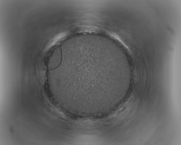 X0000114161399200910151556