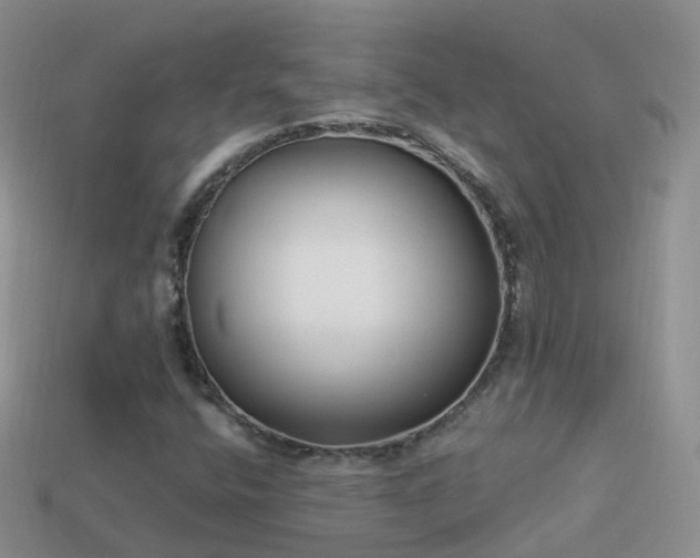 X0000114161400200910151556