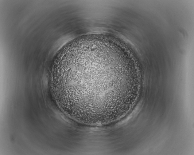 X0000114161401200910151556