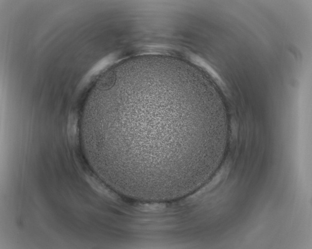 X0000114161403200910151556