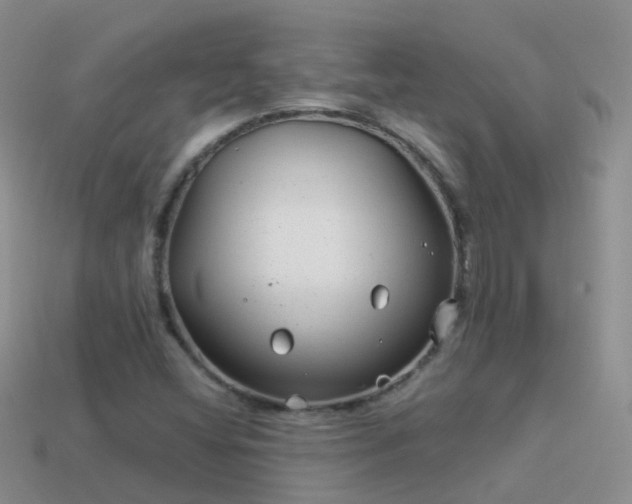 X0000114161404200910151556