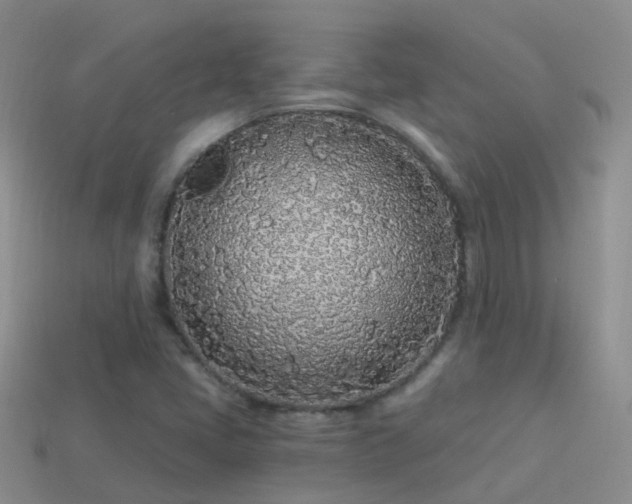 X0000114161405200910151556