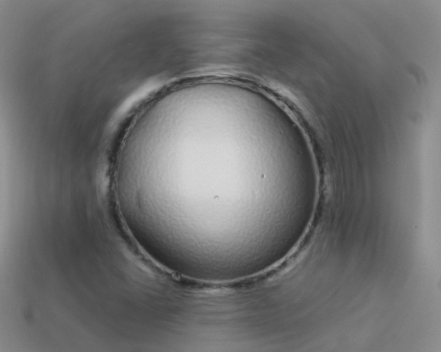 X0000114161406200910151556