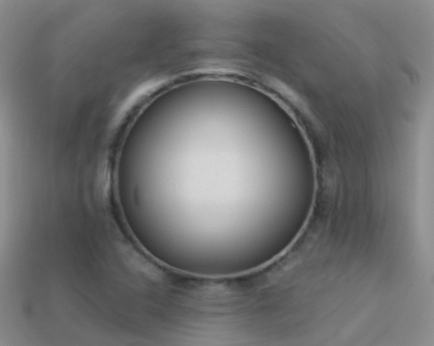 X0000114161408200910151556