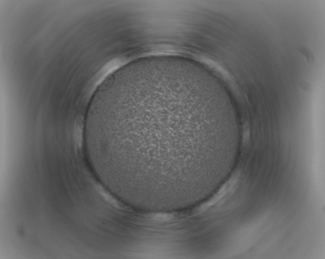 X0000114161409200910151556