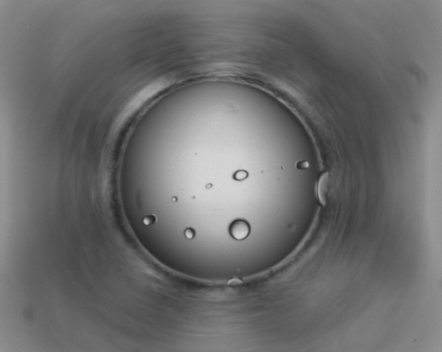 X0000114161410200910151556