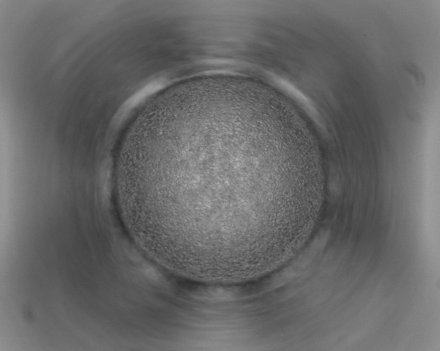 X0000114161411200910151556