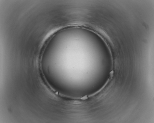 X0000114161412200910151556