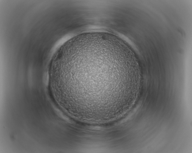 X0000114161413200910151556