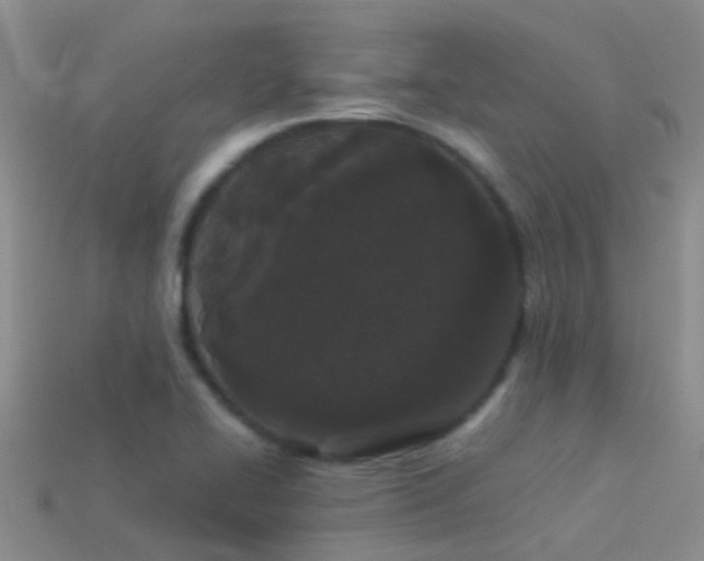 X0000114161414200910151556