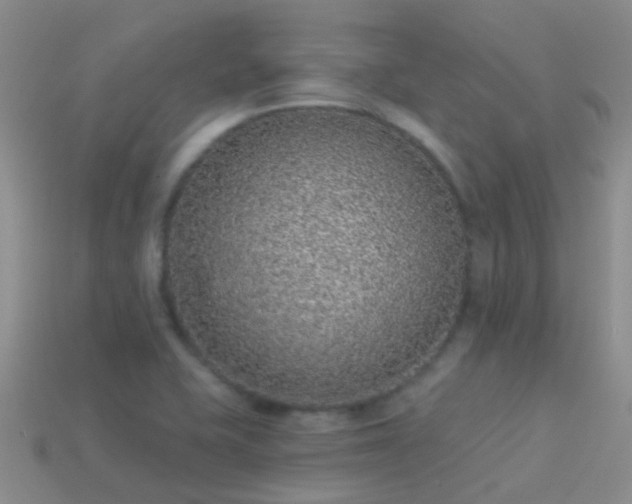 X0000114161415200910151556