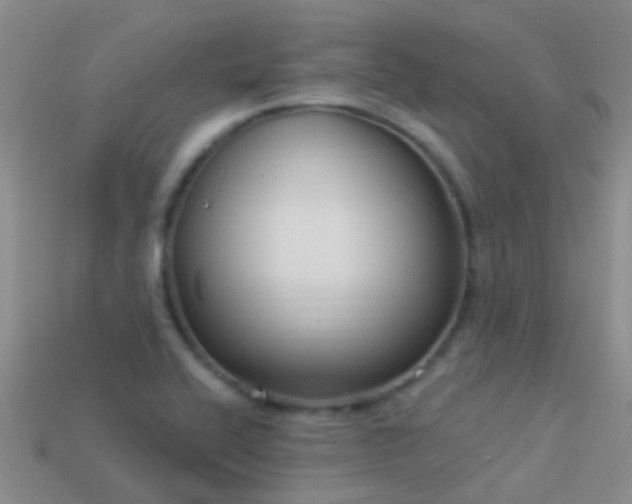 X0000114161416200910151556