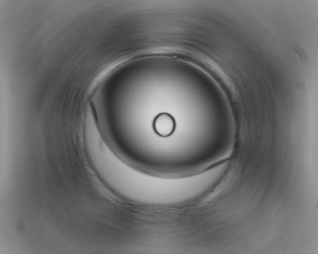 X0000114161417200910151556