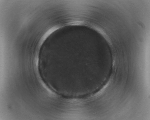 X0000114161418200910151556