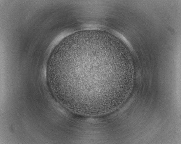 X0000114161419200910151556