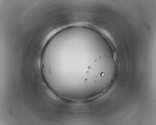 X0000114161420200910151556