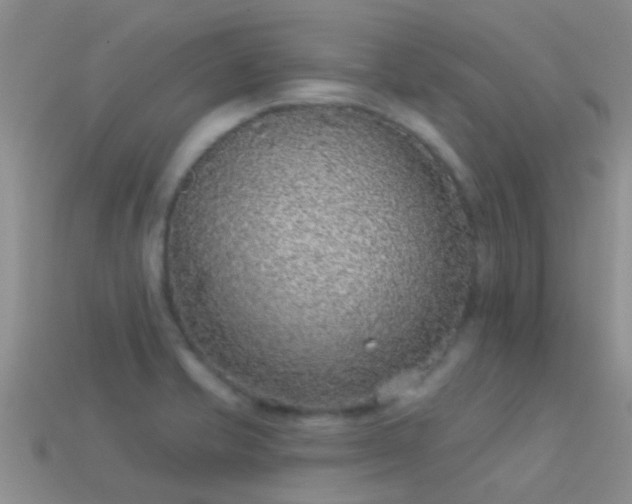 X0000114161421200910151556