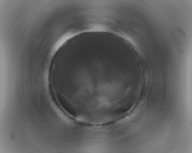 X0000114161422200910151556