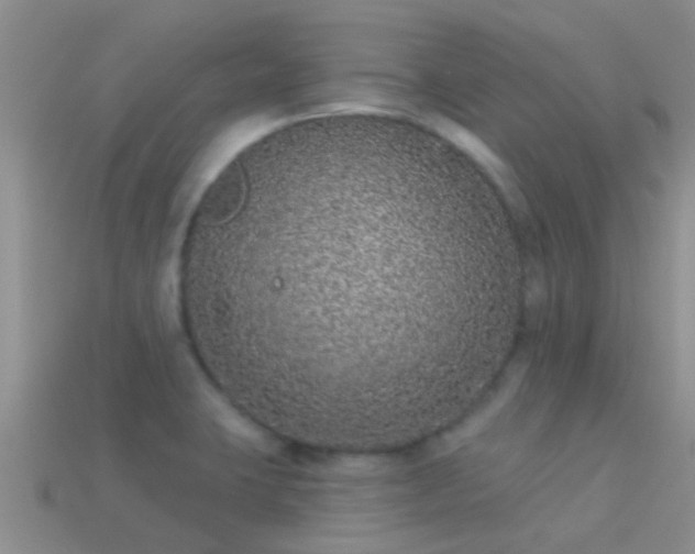 X0000114161423200910151556