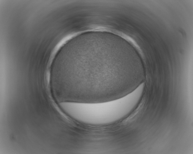 X0000114161424200910151556