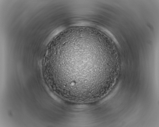 X0000114161425200910151556