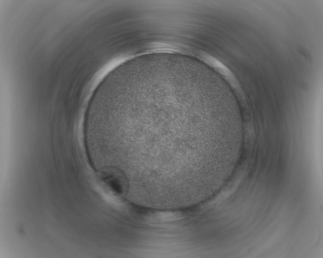 X0000114161427200910151556