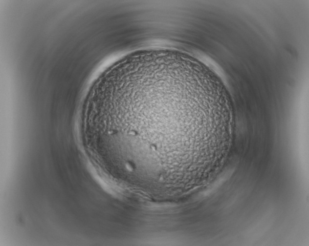 X0000114161429200910151556