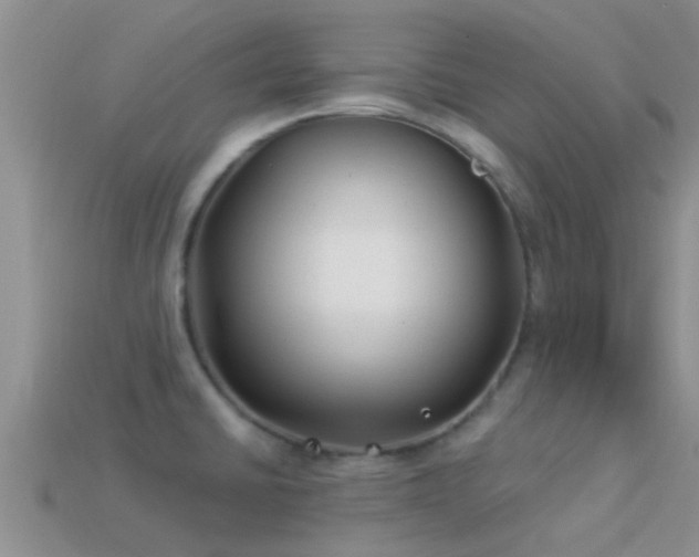 X0000114161430200910151556