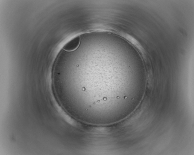 X0000114161431200910151556