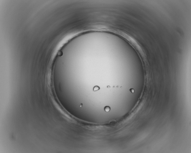 X0000114161432200910151556