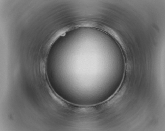 X0000114161433200910151556