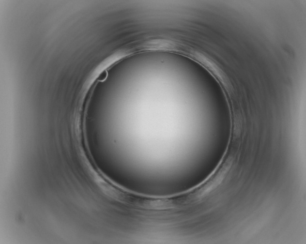 X0000114161434200910151556