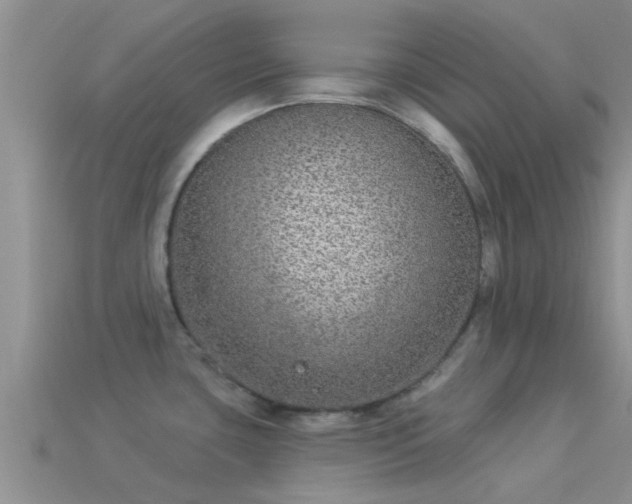 X0000114161435200910151556