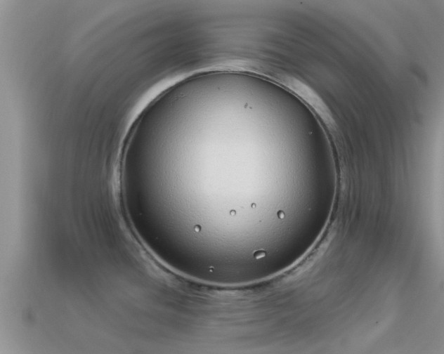 X0000114161436200910151556