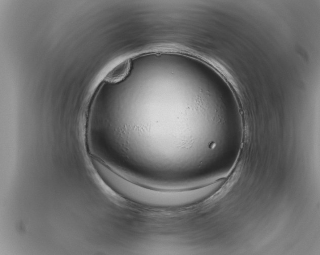 X0000114161438200910151556