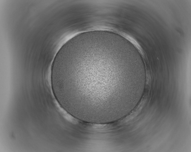 X0000114161439200910151556