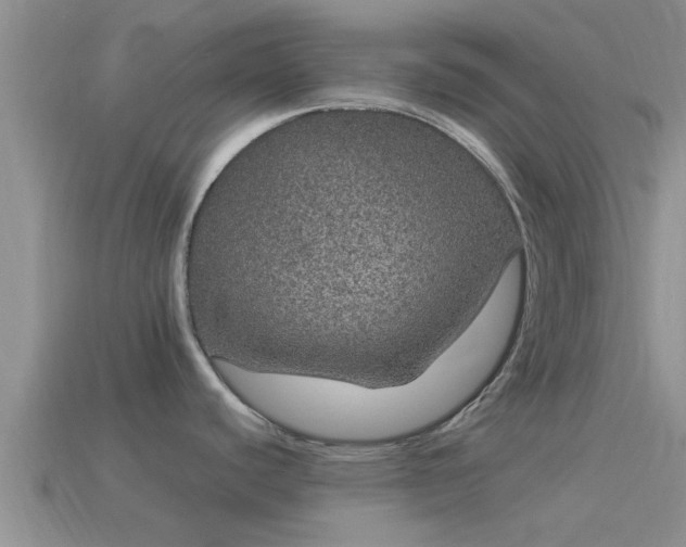 X0000114161440200910151556