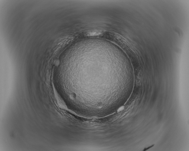 X0000114161441200910151556